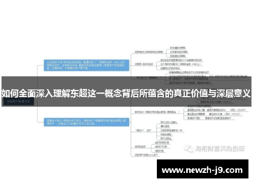 如何全面深入理解东超这一概念背后所蕴含的真正价值与深层意义